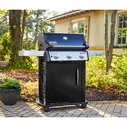 Газовый гриль Weber Spirit Е-315